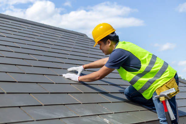 Best Roof Gutter Cleaning  in Griffith, IN